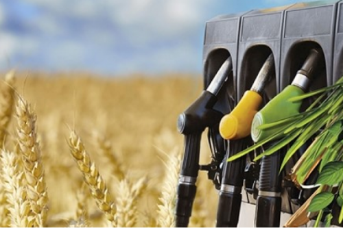 關于簽署生物質熱電聯(lián)產項目合作框架協(xié)議的公告