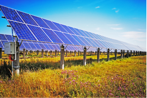 九洲集團(tuán)：創(chuàng)新引領(lǐng)企業(yè)高質(zhì)量發(fā)展，2022年一季度實現(xiàn)“開門紅?”