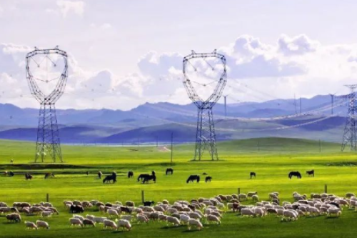 喜報 | 九洲集團子公司沈陽昊誠電氣中標內蒙古電力（集團）兩包環(huán)網(wǎng)柜和箱變合同