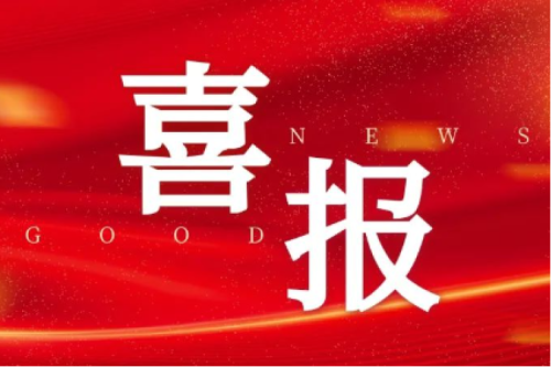 喜報！智能配電網(wǎng)事業(yè)部榮獲2025年黑龍江省工人先鋒號（巾幗標兵崗）榮譽稱號